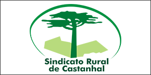 sindicatoruraldecastanhal